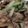 クックXMU64N☆'s cooksnap of when they made 牛肉と豆腐のオイスター炒め.