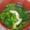 Yount's cooksnap of when they made 菜の花とちくわの澄まし汁。.