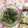 ぽぽきゅ's cooksnap of when they made ヘルシー！ひじきと水菜の胡麻サラダ.