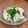 麻's cooksnap of when they made ミツバたっぷり豚しゃぶサラダ.
