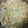 ずぼら母４６歳's cooksnap of when they made 白菜のあっさり煮物.