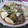 kotohime00's cooksnap of when they made 牛肉と白菜、エリンギのすき焼き風煮もの.