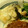 ros3ma1l0w's cooksnap of when they made 簡単☆なすのマヨチーズ焼き.