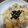 架522's cooksnap of when they made めんつゆと塩麹で簡単♪親子丼.