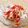 こはる・▽・'s cooksnap of when they made キャベツとあみえびの、豆腐のっけ盛り♫.