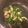 ぺーさんちの台所's cooksnap of when they made 塩昆布入り♪ピーマンとちくわのきんぴら.