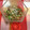 ぽぽきゅ's cooksnap of when they made 菊菜とシメジのねばシャキ納豆あえ♪.