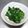☆ありか358☆'s cooksnap of when they made ネギの青い所炒め。おつまみに.