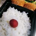ムーミン☆ママ's cooksnap of when they made 日の丸弁当.