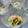 クックI7I5L1☆'s cooksnap of when they made 白菜とねぎの塩炒め.