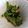 クックZHGHP9☆'s cooksnap of when they made 子供もおかわりする小松菜のピーナッツ和え.