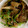 ますchan's cooksnap of when they made 豆苗としめじのニンニクうまうま炒め♪.