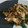 にょっキ's cooksnap of when they made 簡単！葉玉ねぎ牛肉、舞茸のオイスター炒め.