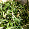 shococcino's cooksnap of when they made 水菜とえのきの胡麻塩昆布サラダ.