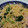 ミラクルクルygro's cooksnap of when they made ほうれんそうとハムの和風パスタ.