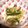 ごふぁんだ's cooksnap of when they made ピーマン人参ツナ和え.