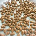 あんころあんず's cooksnap of when they made つい食べちゃう＊ココアパウダーアーモンド.