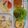 ｽｶｲﾌｨｯｼｭ☆'s cooksnap of when they made 簡単☆ブロッコリーのおかか和え.