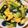 クックZBW05K☆'s cooksnap of when they made 九条ねぎたま.