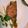 クック57W0GW☆'s cooksnap of when they made 冷凍赤魚の煮付け.