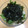 みりん調味料's cooksnap of when they made わさび菜と韓国海苔の和風サラダ.