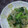 みがつくひと's cooksnap of when they made 小松菜と豆もやしのアジア風炒め.