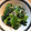 ちはるき27's cooksnap of when they made 小松菜としらすの和え物.