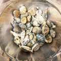 チャメゾウ's cooksnap of when they made 大量あさりの保存の仕方.
