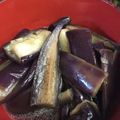 隙間風's cooksnap of when they made ポン酢使って手抜き中華風ナスのおひたし.