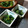 あず7225's cooksnap of when they made ✩小松菜と韓国海苔の胡麻和え✩.