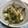 クック3IJVP1☆'s cooksnap of when they made サッと一品！長ネギのおかか炒め.