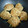 ととろ＆めい's cooksnap of when they made さばおこ✿さば缶ともやしのお好み焼き.