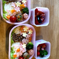 クック0T4PLM☆'s cooksnap of when they made 桜の木デコ弁.