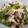 クック3P6LZA☆'s cooksnap of when they made ねぎの青い部分で　鶏ささみのねぎまみれ.