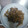 クック6EEORP☆'s cooksnap of when they made ごぼうとしめじの大葉味噌炒め.