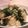 おらがん家's cooksnap of when they made カリフラワーを炒めてみました☆.