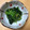 私は苺大福's cooksnap of when they made ほうれん草の白だしお浸し♪.