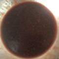 Yokchina's cooksnap of when they made いちごのドレッシング.