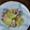 kirinda's cooksnap of when they made あさりと春キャベツのさっと蒸し.