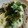 あーちぃのさりまん's cooksnap of when they made もずくとろろそば.