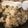 ぴろぴーろ24's cooksnap of when they made 簡単！鶏肉とゴボウの炊き込みご飯.