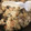 ぴろぴーろ24's cooksnap of when they made 簡単！鶏肉とゴボウの炊き込みご飯.