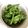 クックVN4OWQ☆'s cooksnap of when they made 菜の花のおひたし.