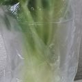 みがつくひと's cooksnap of when they made 水菜・セロリ等の保存方法♪.