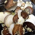 ♥みぃさん♥'s cooksnap of when they made 【簡単】あさりの酒蒸し♪.