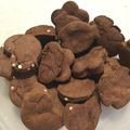rainys's cooksnap of when they made カリっ♪簡単ヘルシーおからココアクッキー.