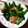 Loveatnyan's cooksnap of when they made 簡単　アスパラベーコン炒め.