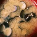 純子50Plus's cooksnap of when they made 時短砂抜きで♪ふっくらシジミの味噌汁.