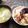 羽根こぶた's cooksnap of when they made 土鍋で簡単！旨みたっぷり♫タコ飯.