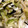 sakura96's cooksnap of when they made 簡単☆白菜の塩昆布和え.